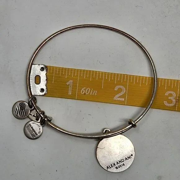 ALEX and ANI Las Vegas Bangle Bracelet Silver Tone - Picture 6 of 6